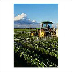 Natural Plant Fungicide