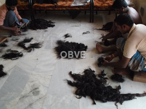 Human Hair Processing Unit