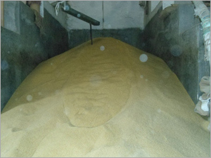 Rice (36)