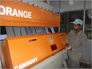 Rice Processing Plant