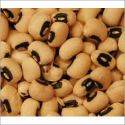 Black Eye Bean