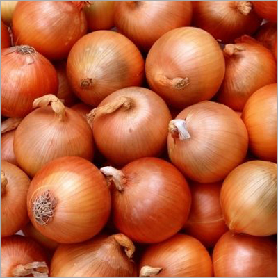 Fresh Preserved Onion