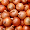 Fresh Preserved Onion