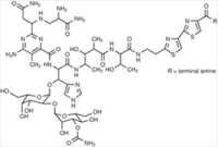 Bleomycin Injection