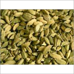 Cardamom