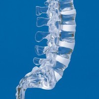 Clear Lumbar Spine