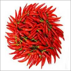 Dried Chilli