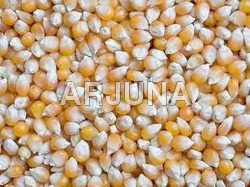 Yellow Corn Animal Feed