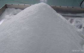 desicatted dried coconut powder