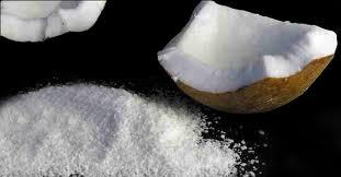 dried coconut milk powder