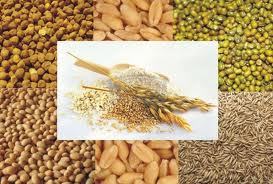 multigrain flour