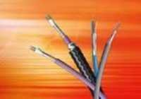 Belden Cables - High-quality Copper Wire , Superior Signal Integrity And Durability