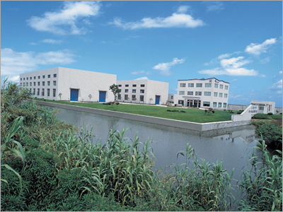 Corporate Consultancy Services