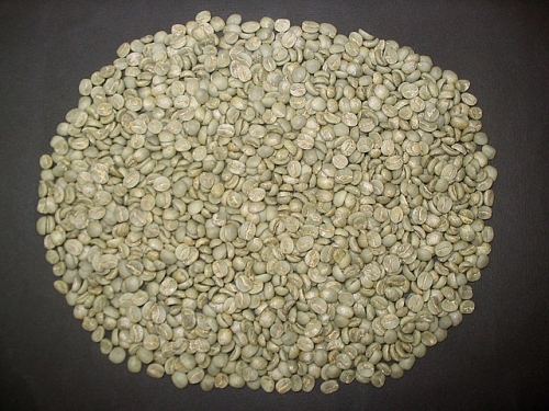 Beverage Plant Seeds
