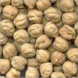 Kabuli Chickpeas