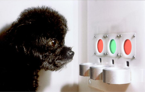 Retina Recognition System