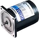 AC Geared Motors