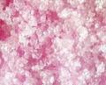 Manganese Chloride - Application: Industrial
