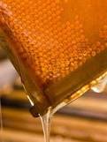 Bulk Honey