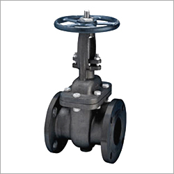 CS Gate Valve