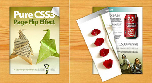 Flip Page Website
