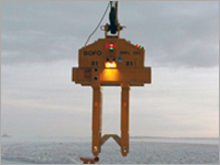 Steel Coil Lifter