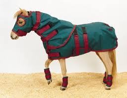 Blue Horse Winter Blankets