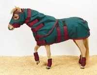 Horse Winter Blankets