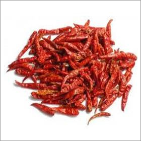 Teja Chilli