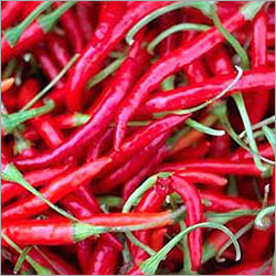 Whole Dry Kashmiri Red Chillies