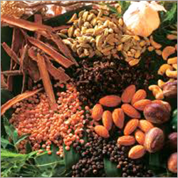 Indian Cooking Spice