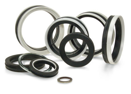Pneumatics Seals