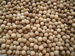 white pepper