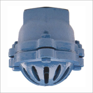 Cast Iron Foot Valve