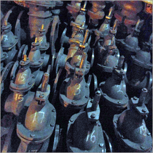 Industrial Check Valves