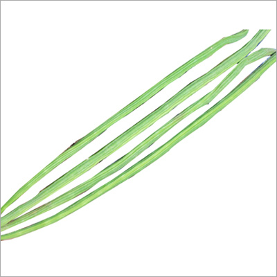 Moringa Fresh Pod (Fruit) Or Drumstick