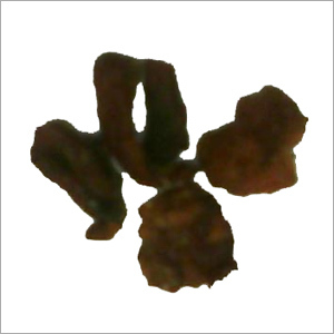 Moringa Gum Or Drumstick Tree Gum