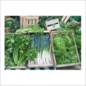 Frozen Fresh Vegetables
