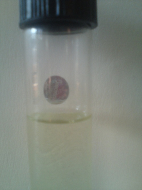 frankincense essential oil frankincense essential oil