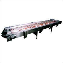 Inspection Conveyor