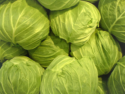 Cabbage