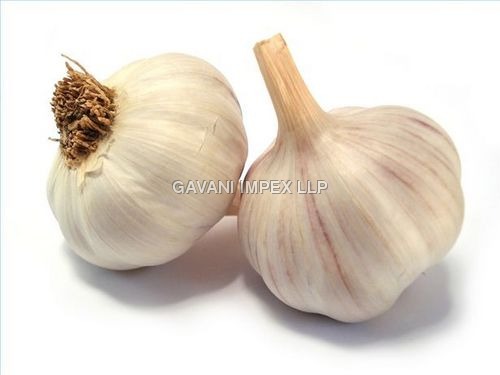 Dry Garlic