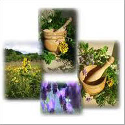 Herbal Botanical Products