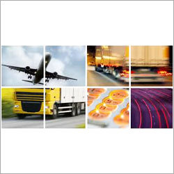 Cargo International Logistics