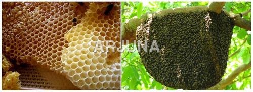 Natural Honey