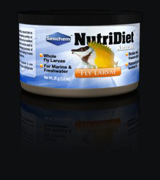Seachem NutriDiet Fly Larvae - Moist Fly Larvae, 35g | Natural Diet, Moisture Locked, Breeding Aid, Palatable Fish Food