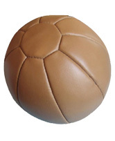 Leather Medicine Ball