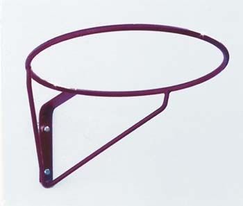 Net Ball Ring a School