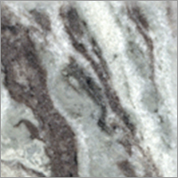 Rainforest Brown Marble