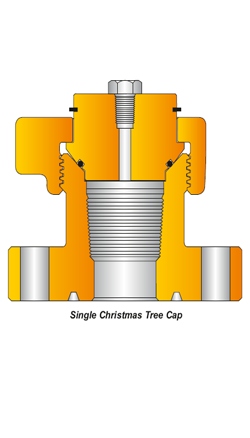 X-MAS TREE CAP PARVEEN - Flanged Body With API-UP TBG Thread, Blanking Plug, Hammer Nut, Circlip & O-Ring, Top Connector For Wellhead Access